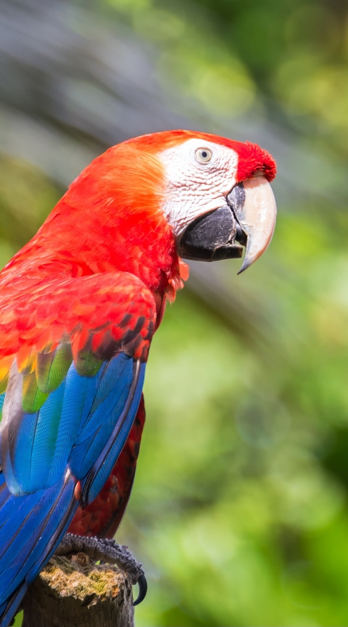 Découvrez la merveille de la flore et de la faune qui vous entourent.