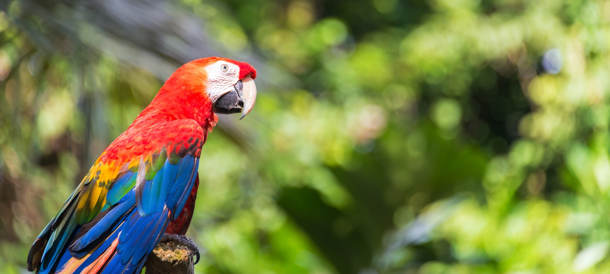 Découvrez la merveille de la flore et de la faune qui vous entourent.